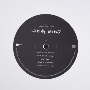 Waking World (06)